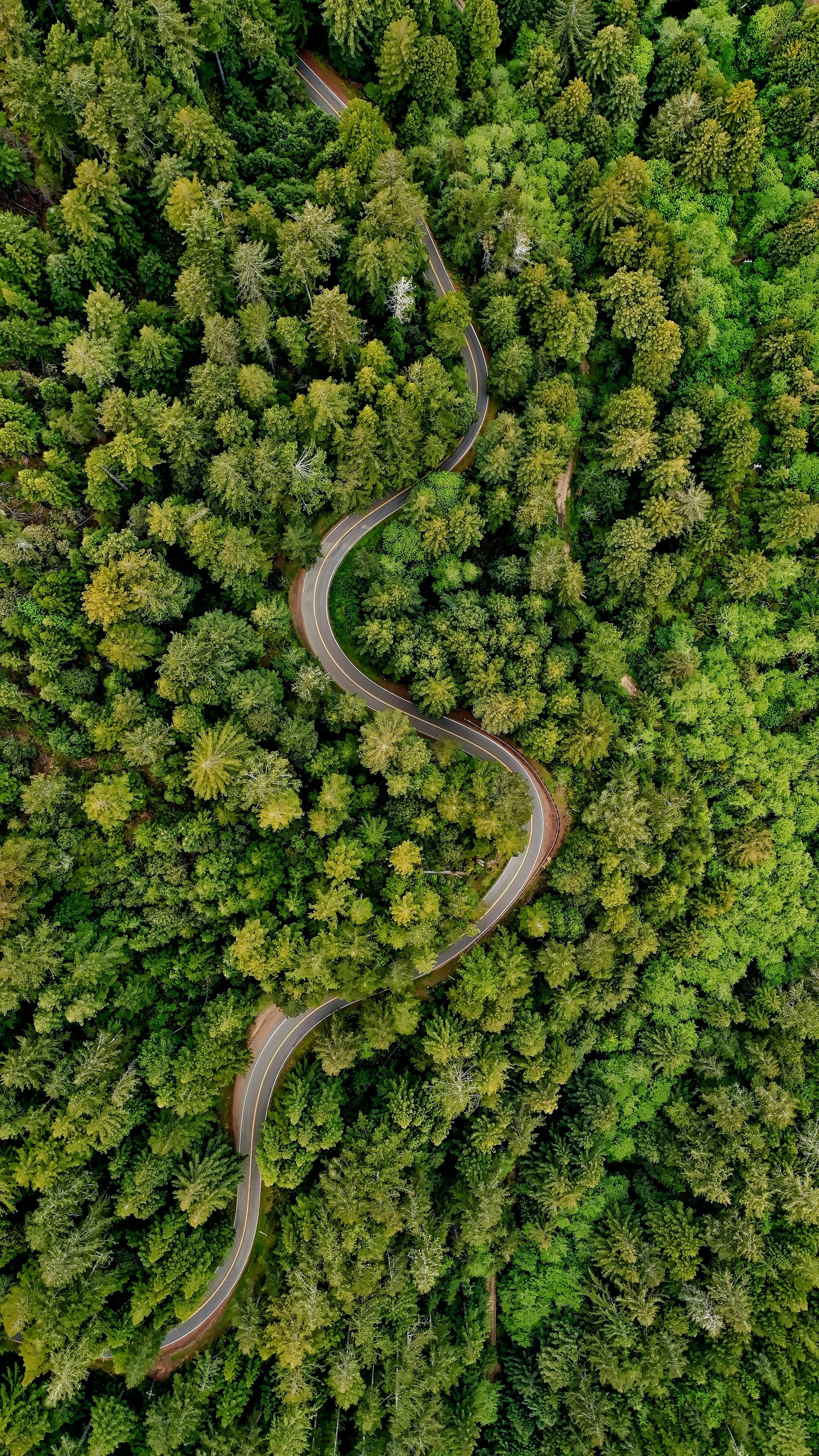 Waldstraße aus der Luft